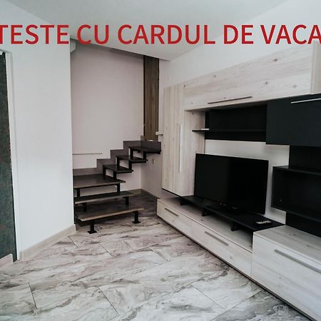 Apartment Attic Sibiu Extérieur photo